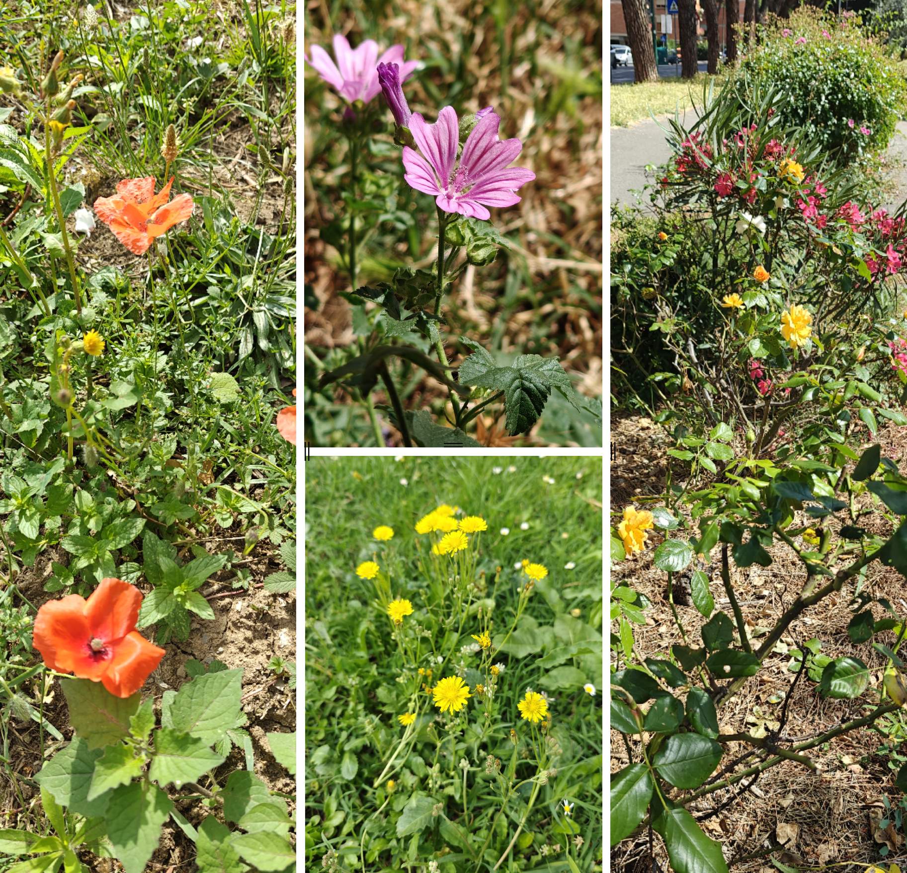 realme recensione realme GT6 Recensione